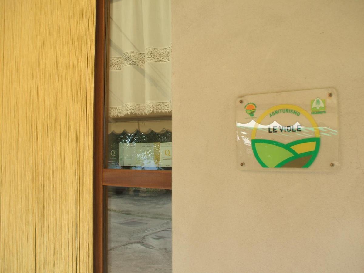 Agriturismo Le Viole 바롤로 외부 사진