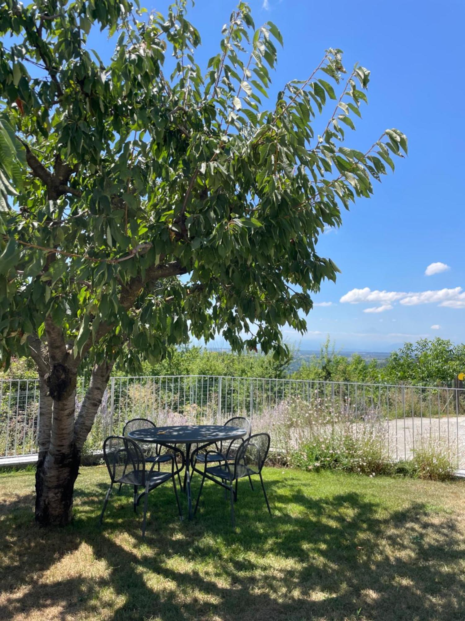 Agriturismo Le Viole 바롤로 외부 사진